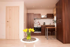 EVArent Apartament Free parking